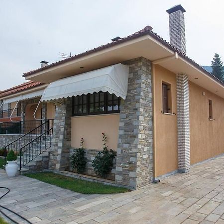 Βίλα Για Όλες Τις Εποχές Του Χρόνου Kozani Exteriör bild