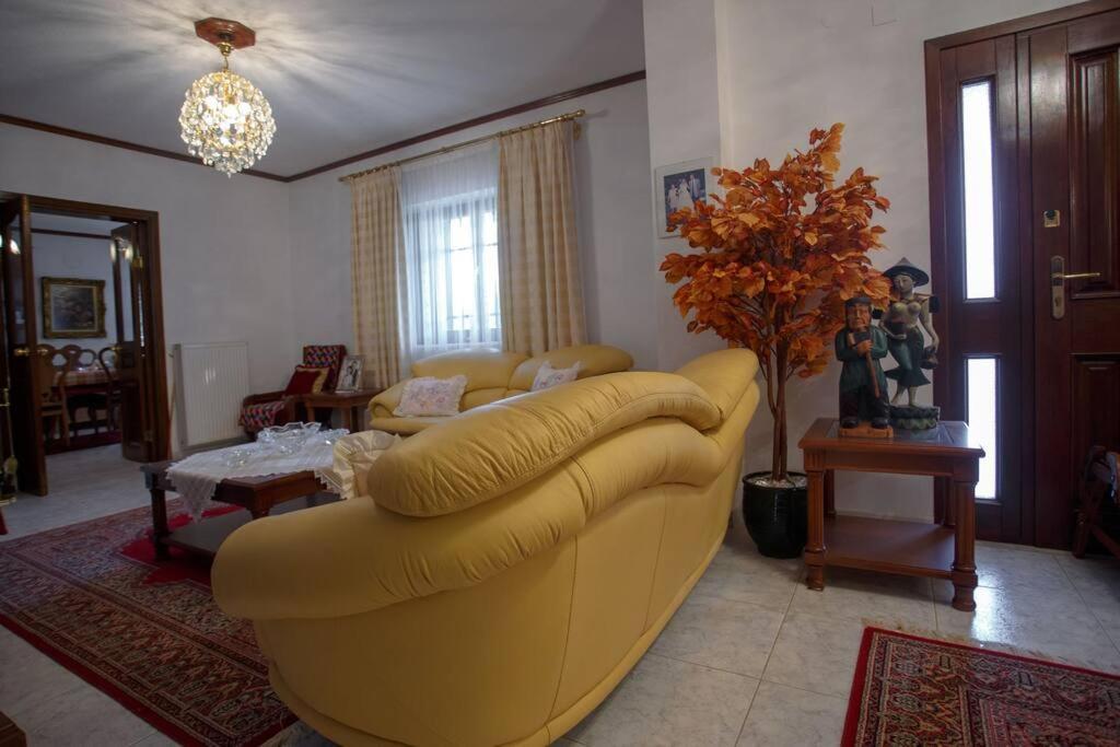 Βίλα Για Όλες Τις Εποχές Του Χρόνου Kozani Exteriör bild