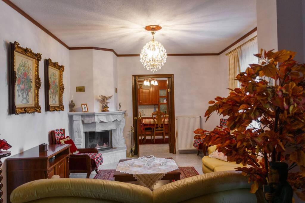 Βίλα Για Όλες Τις Εποχές Του Χρόνου Kozani Exteriör bild